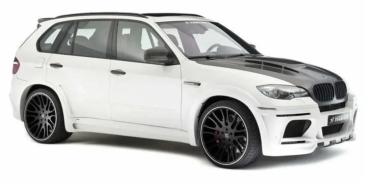 2010 Hamann 2010-hamann-x5-flash-evo-m-steptronic-6-speed main image