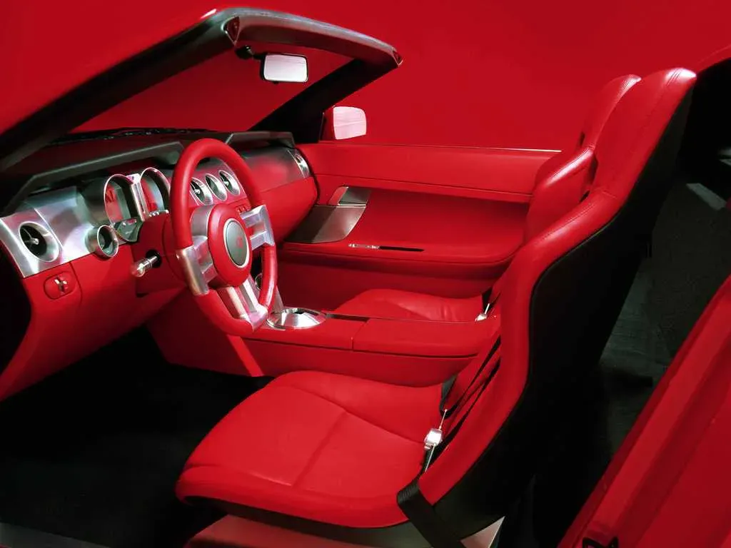 Interior 1