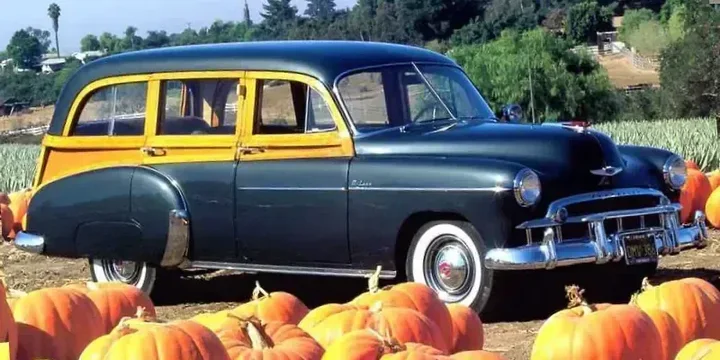 1949 Chevrolet 1949-chevrolet-deluxe-wagon-styleline-deluxe-station-wagon-35-manual-91hp-1949-3-speed main image