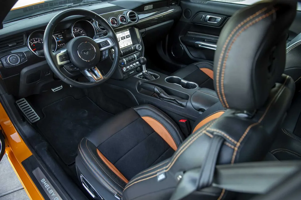 Interior 1