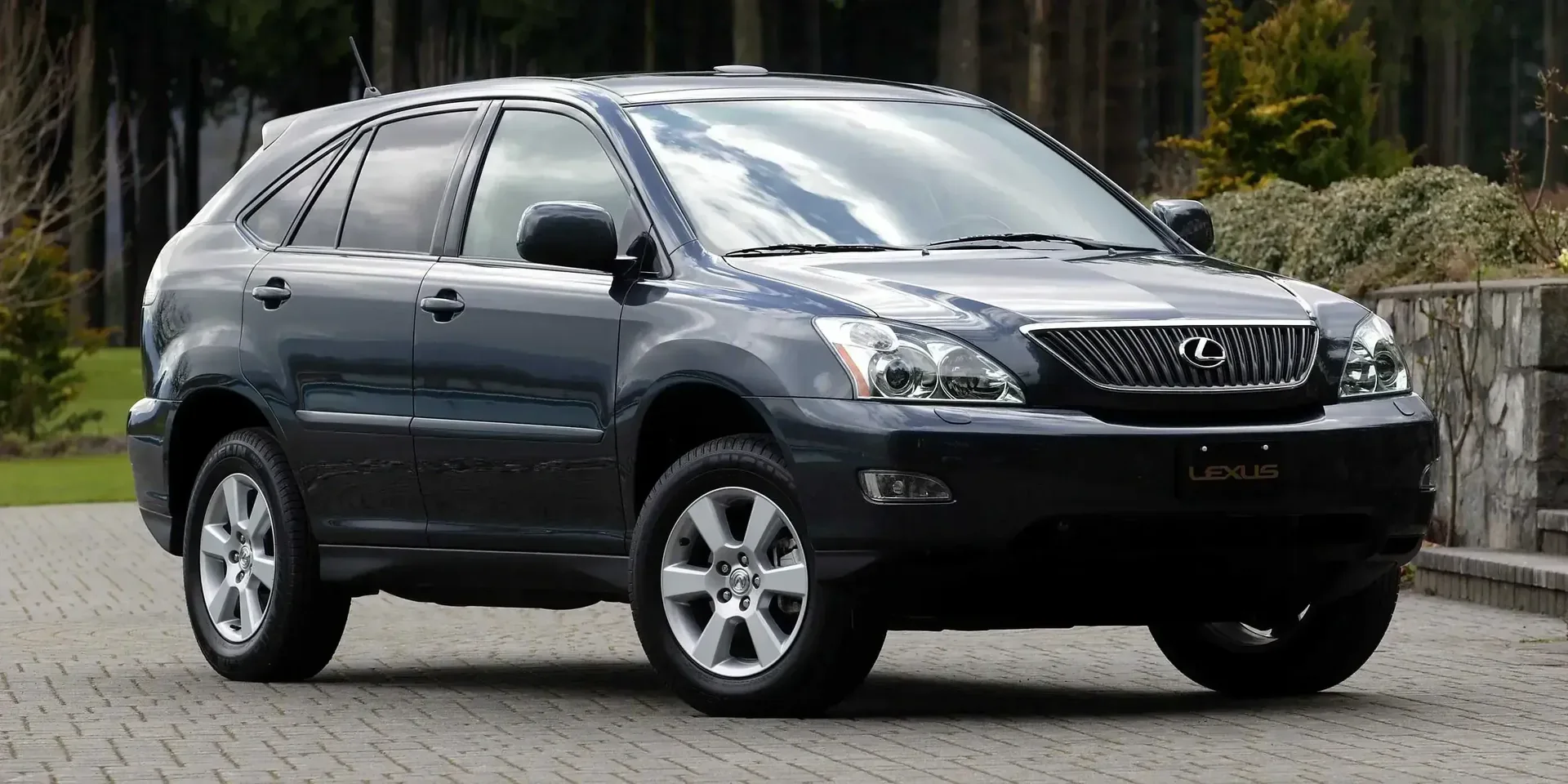 2003 Lexus RX photo 1
