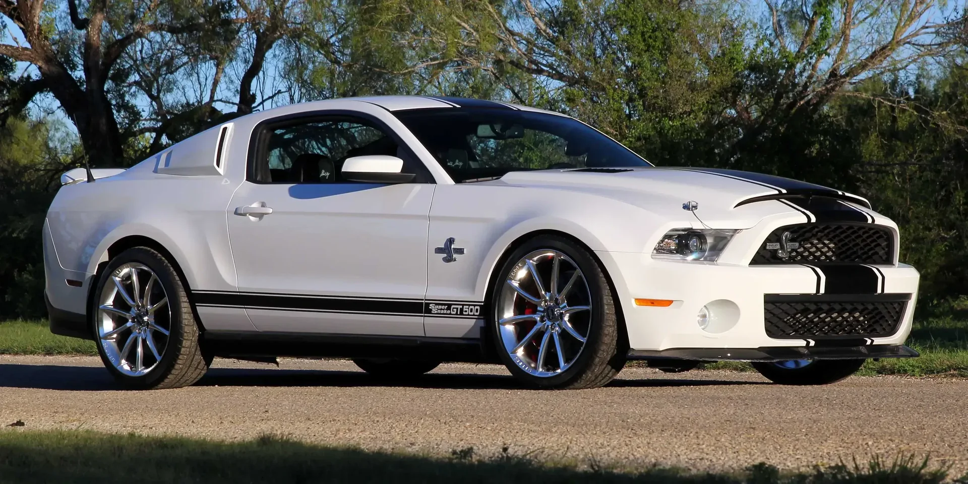 2013 Shelby Mustang GT500 photo 1