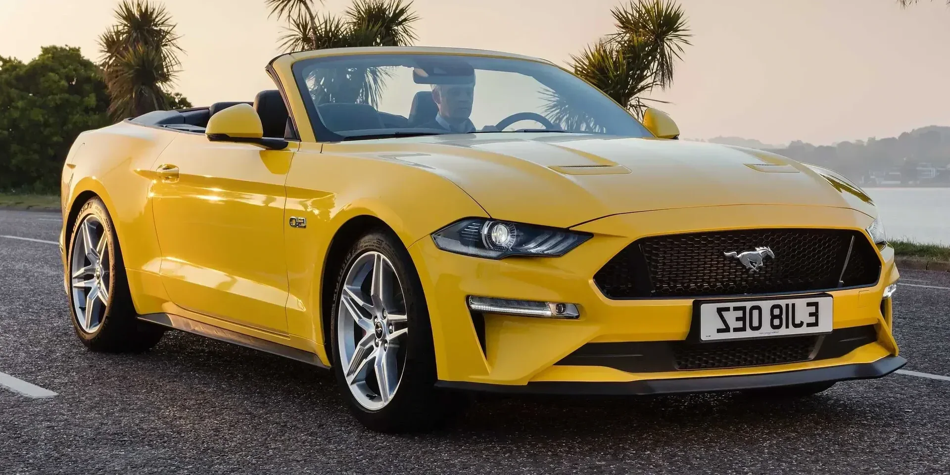 2018 Ford Mustang GT photo 1