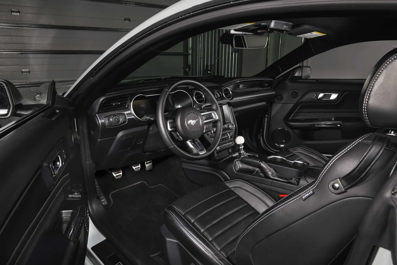Interior 1