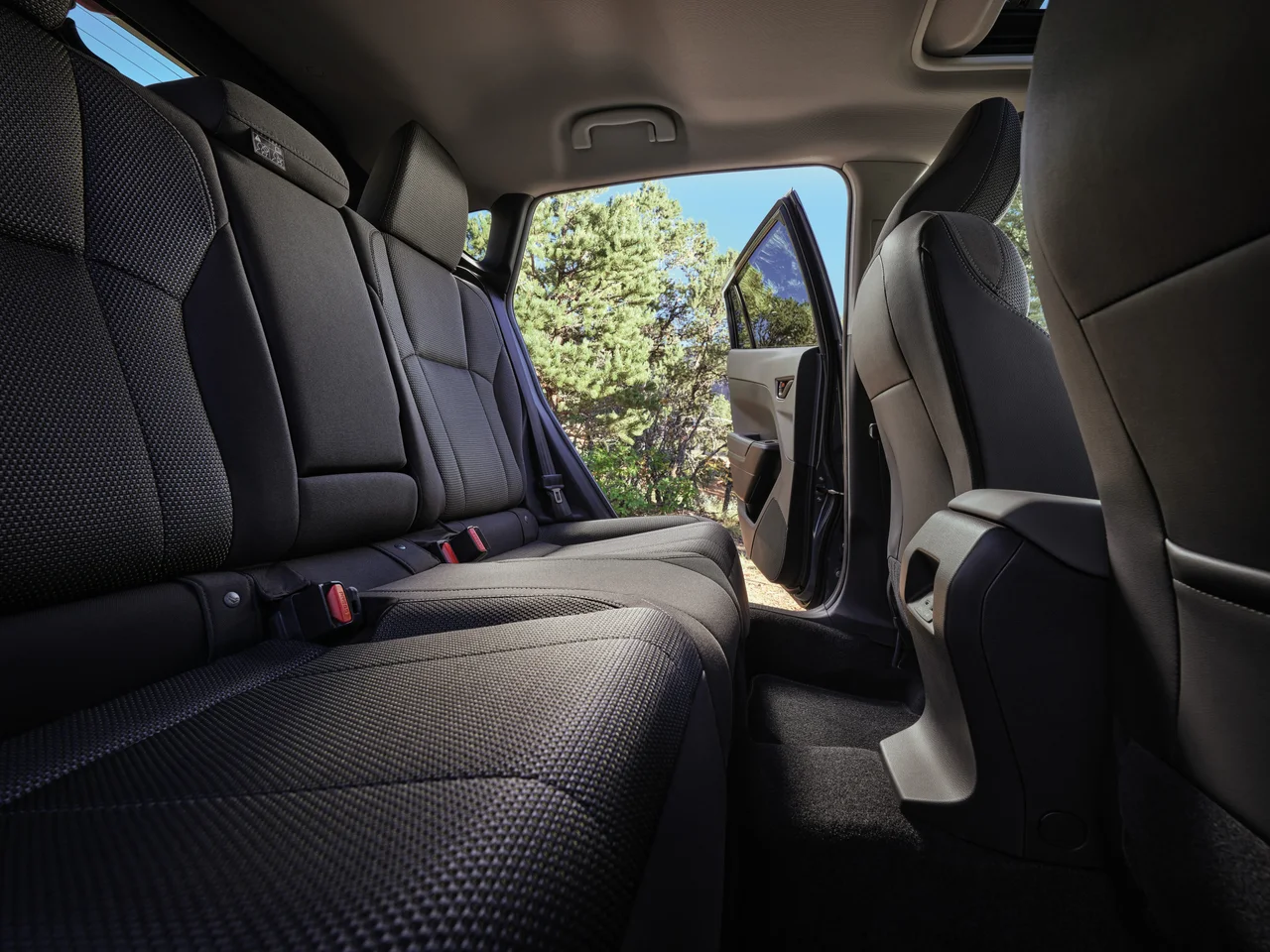 Interior 1