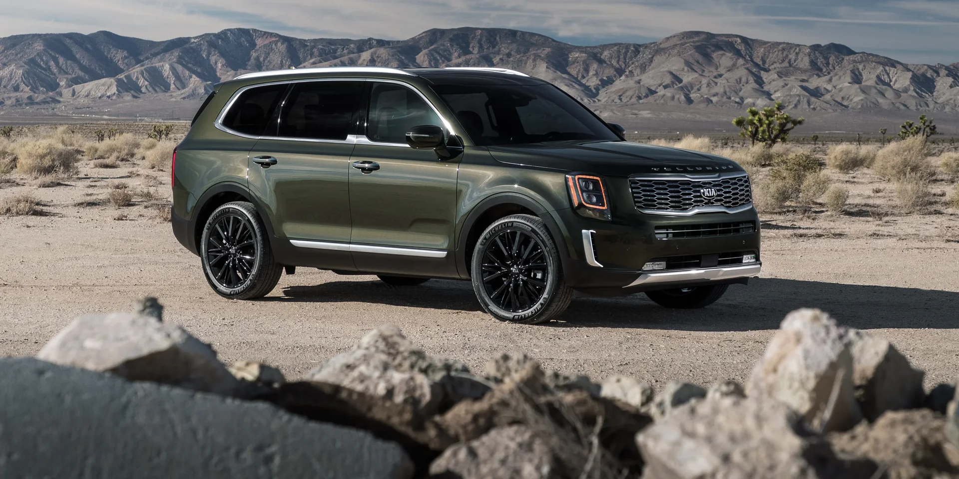 2020 Kia Telluride photo 1