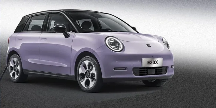 2024 JAC E30X exterior main image