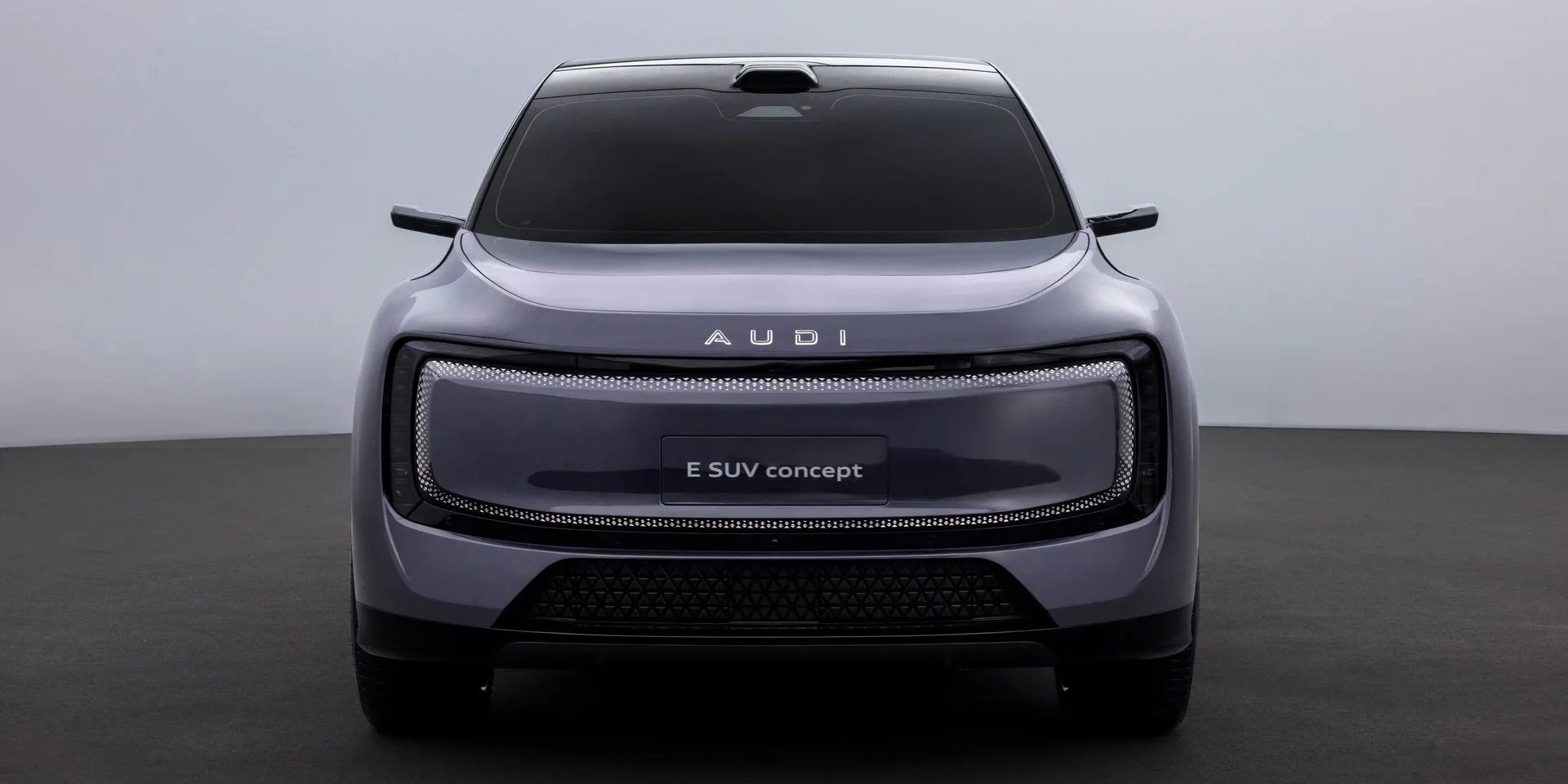 2025 Audi E SUV photo 1