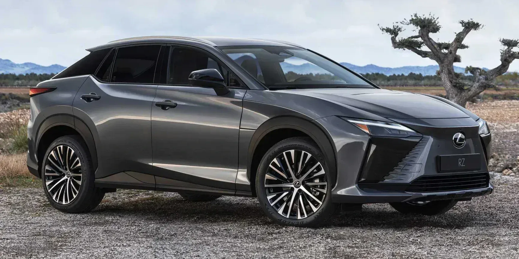 2022 Lexus RZ photo 1