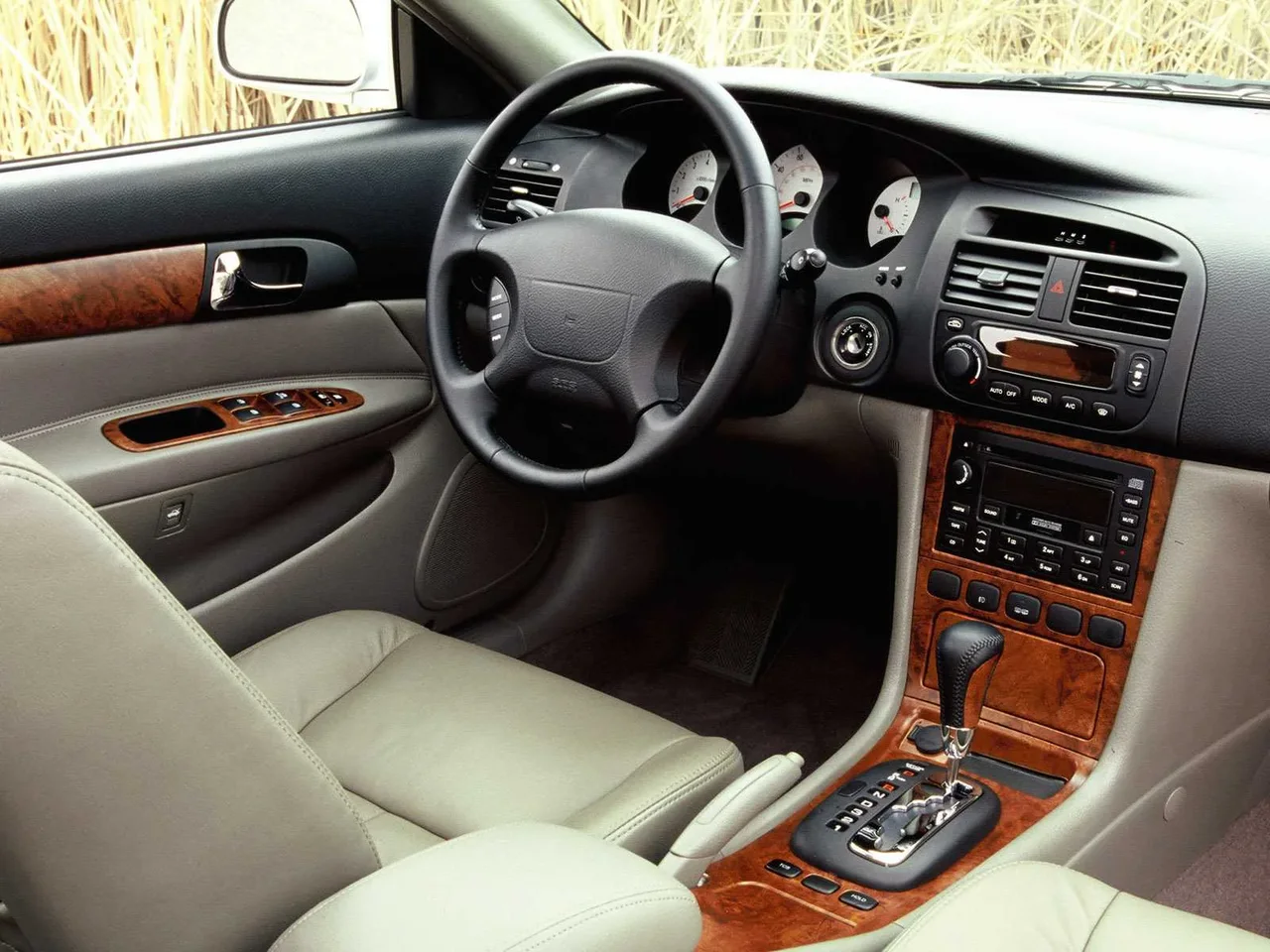Interior 1