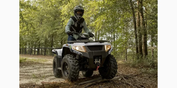 2021 Arctic Cat Alterra exterior main image