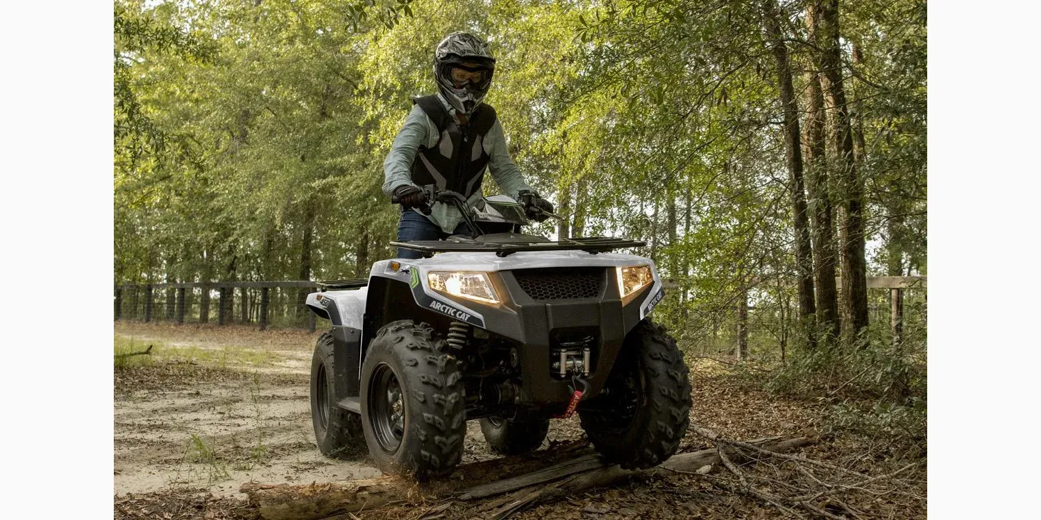 2021 Arctic Cat Alterra photo 1