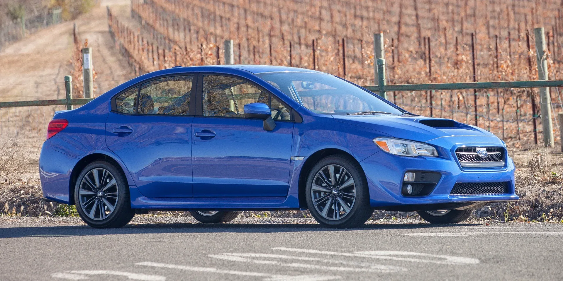 2015 Subaru WRX photo 1