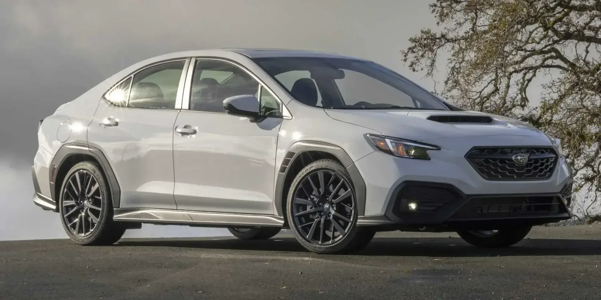 2022 Subaru WRX photo 1