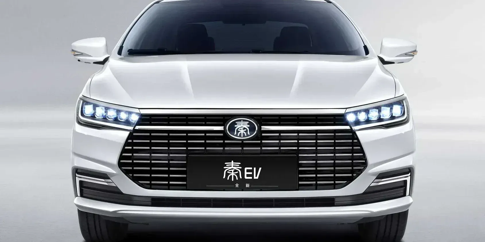 2022 BYD Qin EV300 photo 1