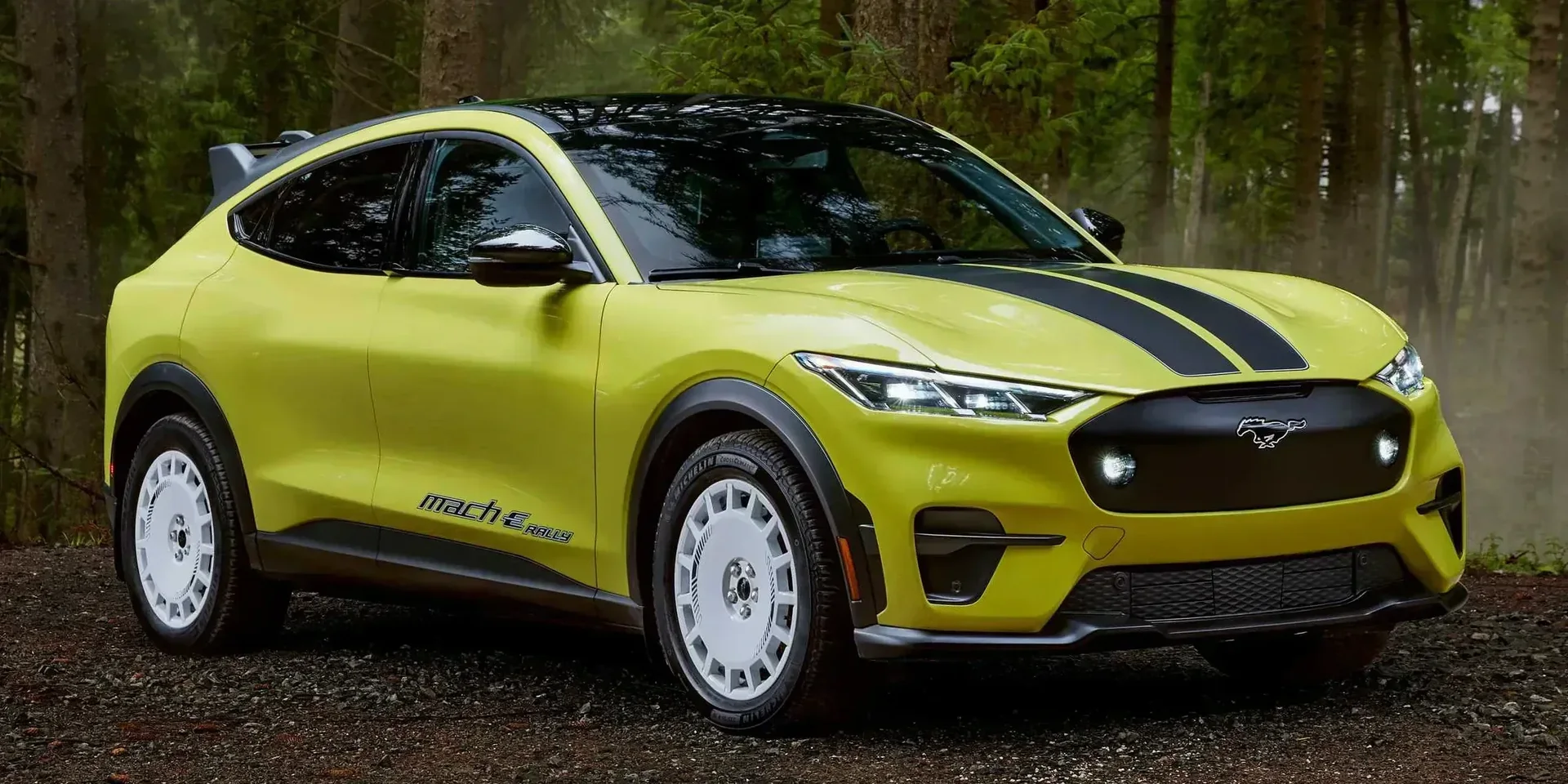 2024 Ford Mustang Mach-E Rally photo 1