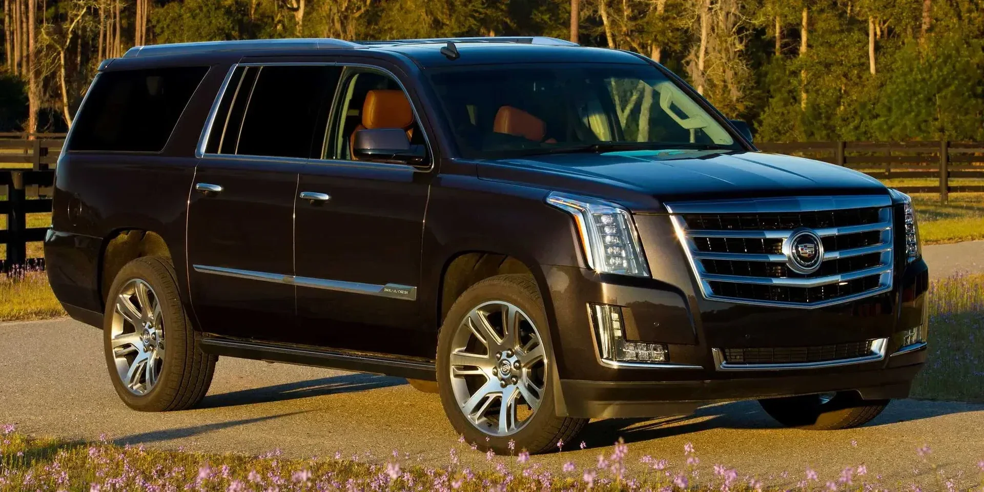 2017 Cadillac Escalade ESV photo 1
