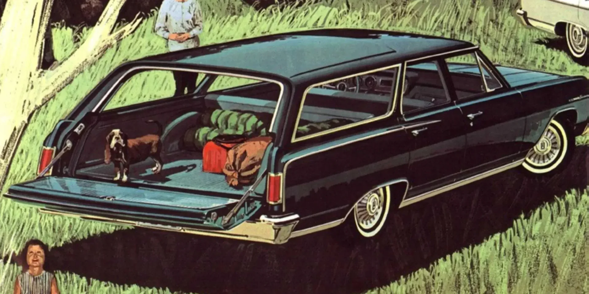 1965 Acadian Beaumont photo 1